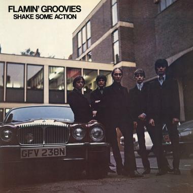 Flamin' Groovies -  Shake Some Action